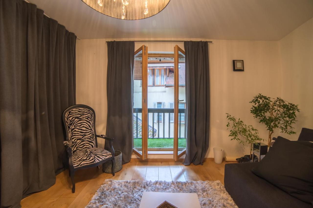 Appartements Atypiques Centre Ville 阿讷西 外观 照片